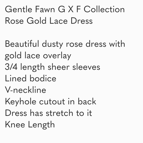 GENTLE Fawn G X F Collection Rose Gold Lace Dress - Picture 9 of 9